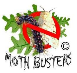 Gypsy Moth Spraying Begins May 20th